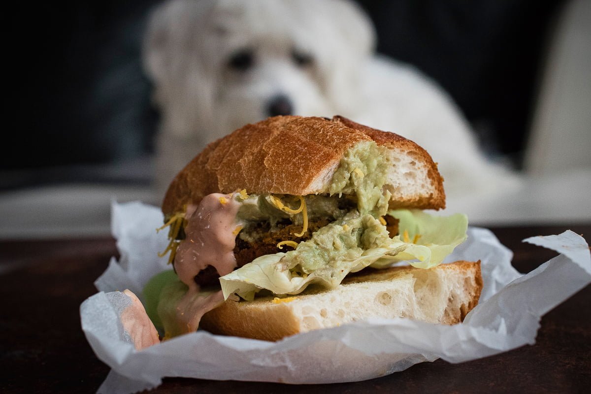 Burgeri-od-bundeve-naslovna-1